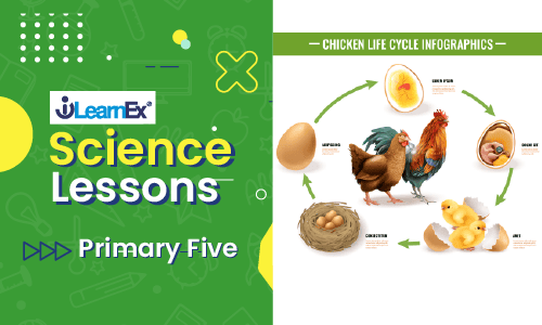 science5